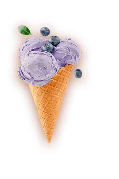 Easy Blueberry